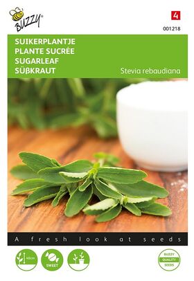 Stevia Rebaundiana