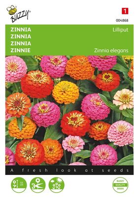 Zinnia Liliput dubbelbl. gemengd