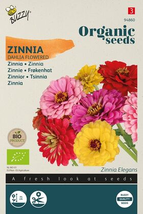 Biologische Zinnia Zaden Dahlia Bloemig