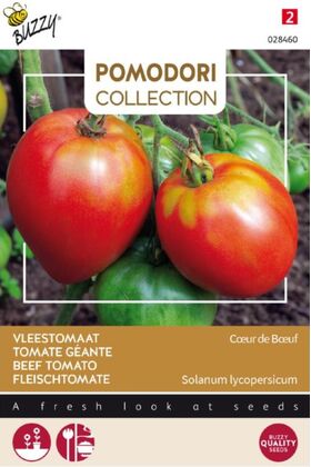 Pomodori Tomaten Cuor Di Bue