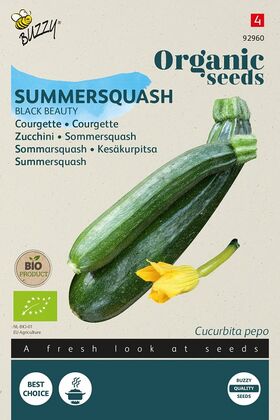 Biologische Courgette Zaden Black Beauty