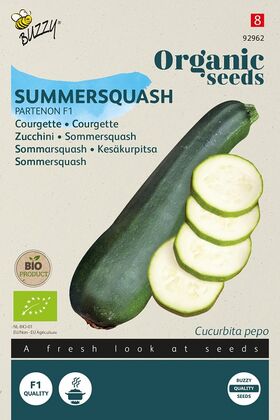 Biologische Courgette Partenon F1 hybride