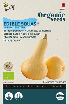 Biologische Eetbare Pompoen Waltham Butternut