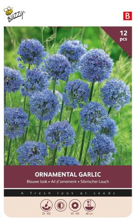 Allium Bloembollen Blauwe Look Sierui bollen 12 st.