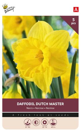 Narcissen bollen Dutch Master 5st.