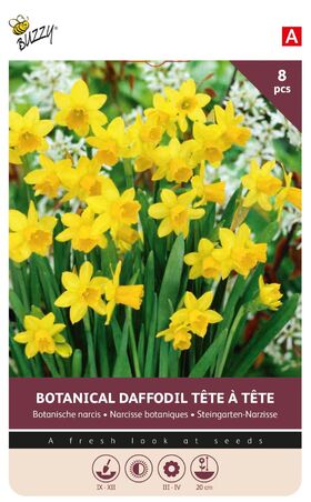Narcissen bloembollen Geel Tete a Tete 8st.