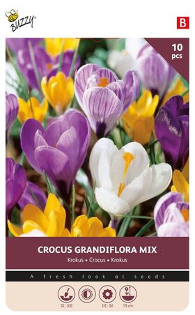Krokus Bloembollen Grandiflora Mix