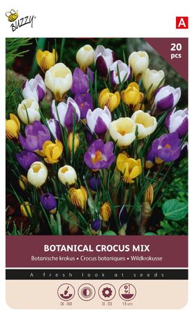 Krokus Bloembollen Botanische Mix 20st.
