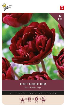 Tulpen Bloembollen Uncle Tom