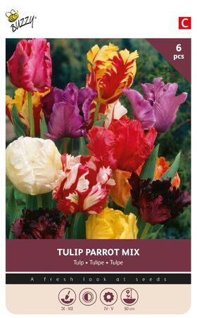 Tulpen bloembollen Parrot Mix