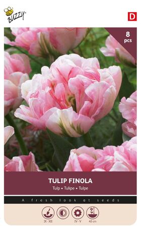 Tulpen bloembollen Finola