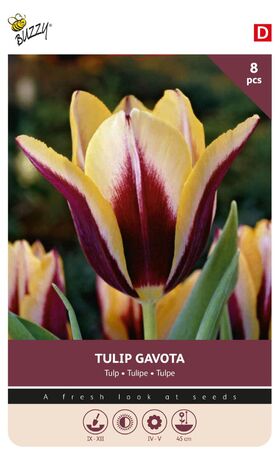 Tulpenbollen 'Triumph Gavota' 8st.