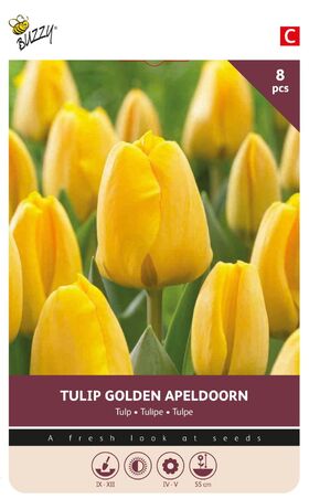 Tulpen Bloembollen Golden Apeldoorn