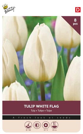 Tulpen Bloembollen White Flag