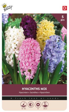Hyacinten kleurenmix
