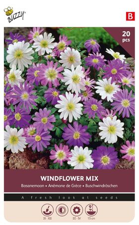 Bosanemoon Bloembollen Windflower Mix