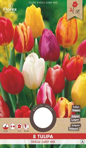 A Tulpen bloembollen Single Mix